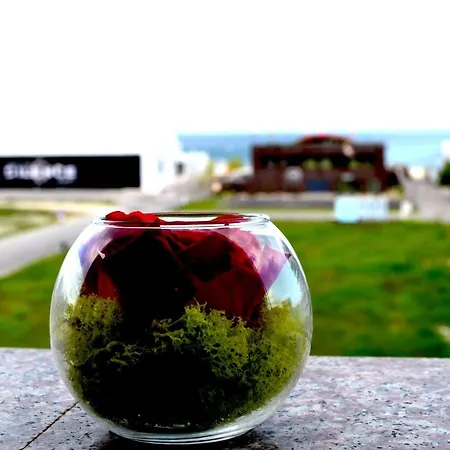 Luna Rossa Sumerland * Mamaia